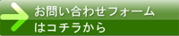 ₢킹tH[͂炩